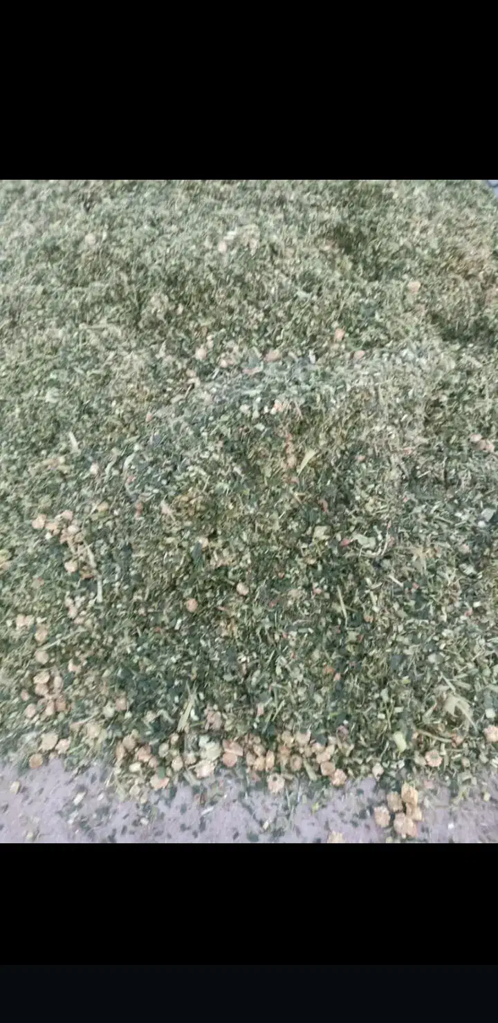 علوفه ذرت|عمده‌فروشی|اصفهان, نقش جهان|دیوار