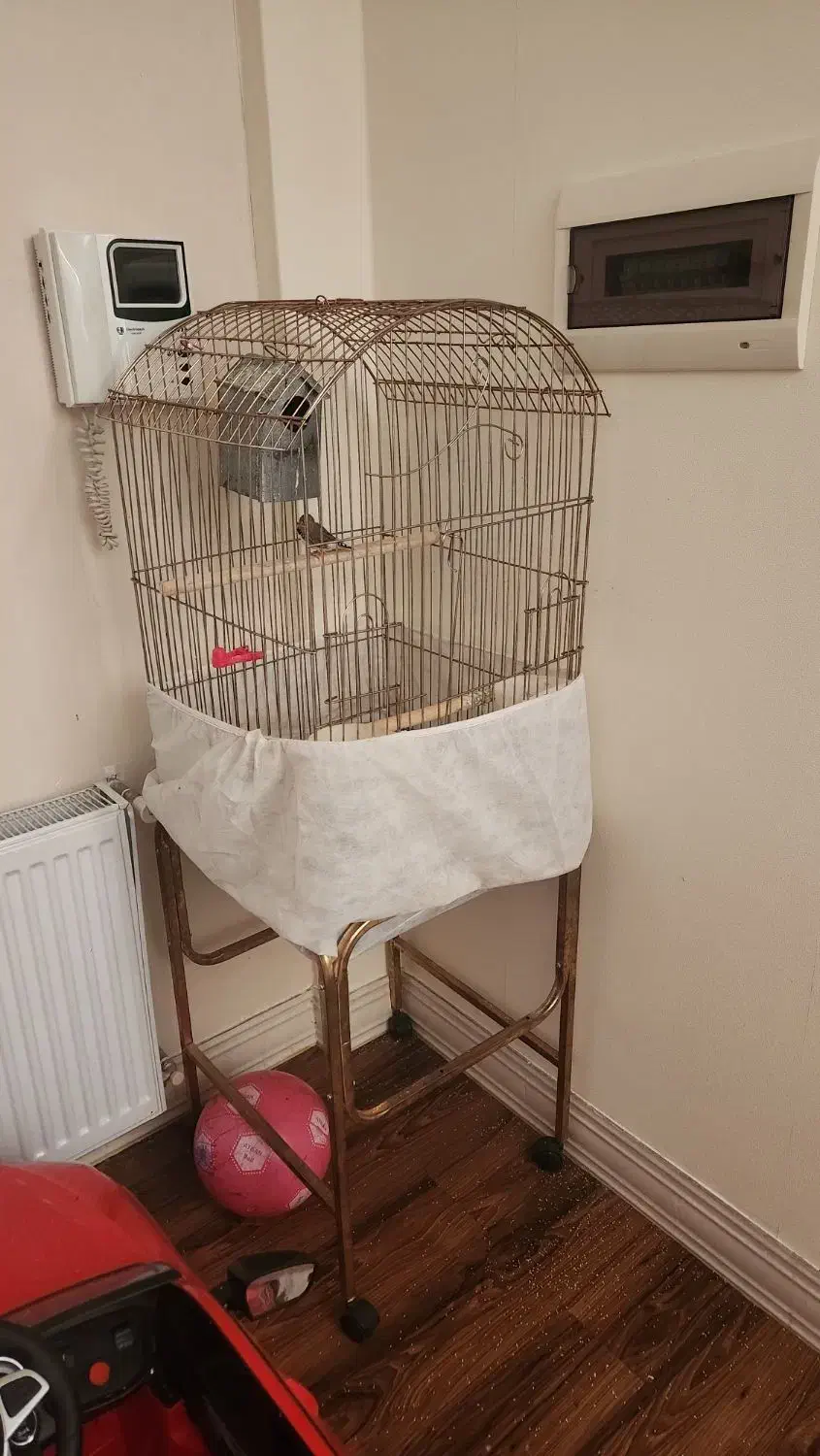 قفس با پایه|لوازم جانبی حیوانات|قم, شهرک قدس|دیوار
