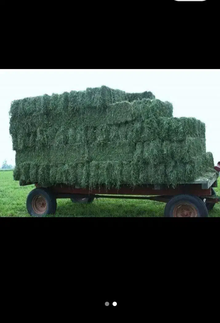 پرس یونجه|لوازم جانبی حیوانات|گلپایگان, |دیوار