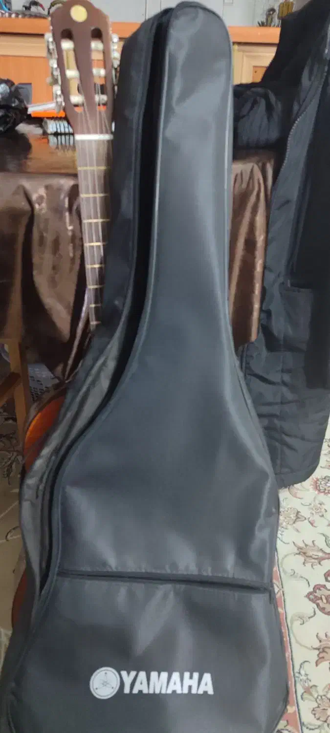 گیتار ، VERONA|گیتار، بیس، امپلیفایر|بجنورد, |دیوار