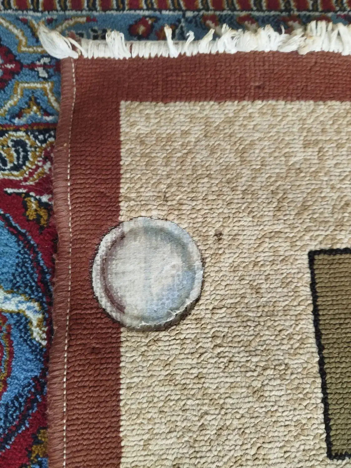 گلیم|گلیم، جاجیم، گبه|پرند, فاز ۶|دیوار