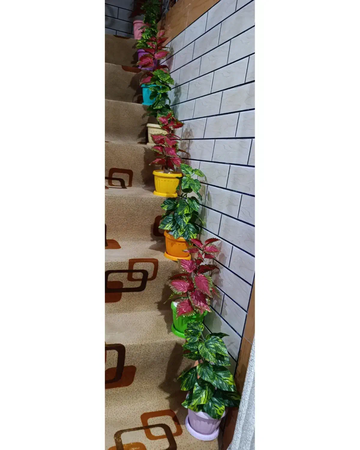 گلدان مصنوعی|گل مصنوعی|اندیمشک, |دیوار