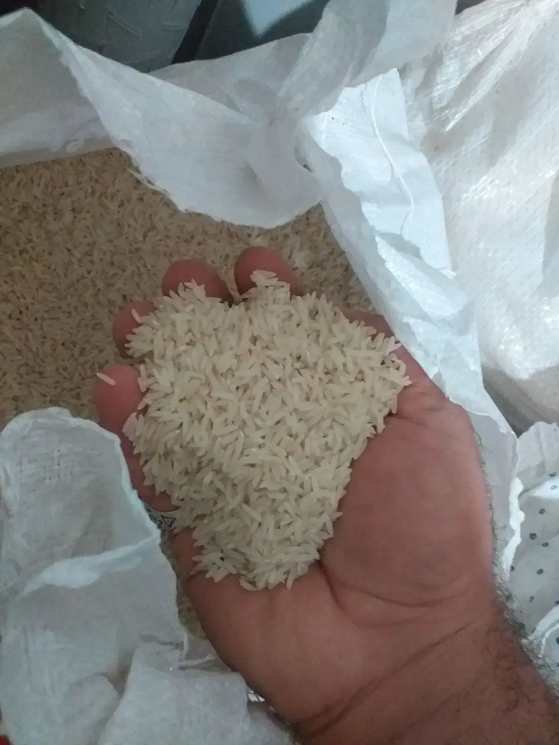 برنج طارم هاشمی گیلان|خوردنی و آشامیدنی|اصفهان, لاله|دیوار
