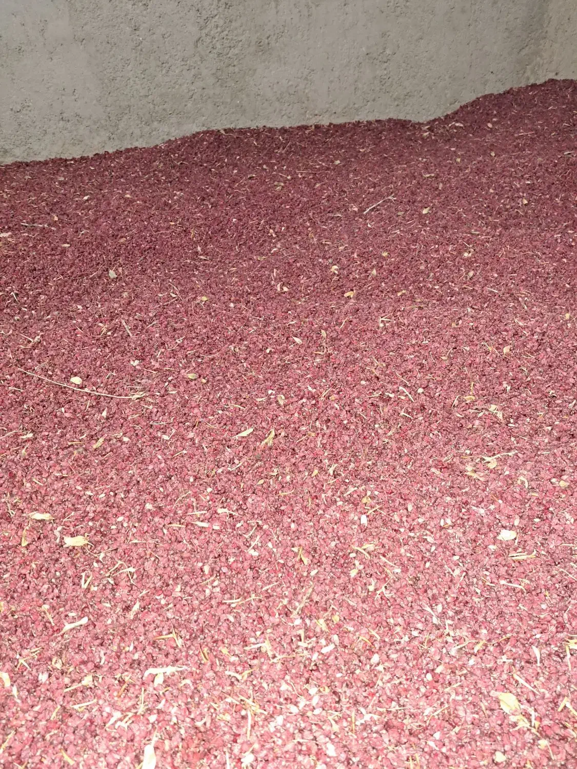 زرشک|عمده‌فروشی|زیرکوه, |دیوار