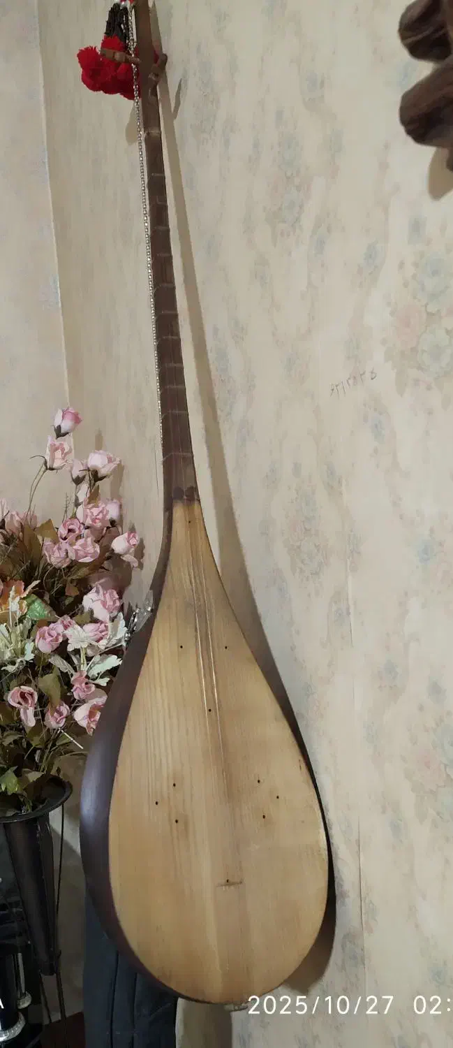 دوتارحرفه ای وخوش صدا|سازهای سنتی|اسفراین, |دیوار