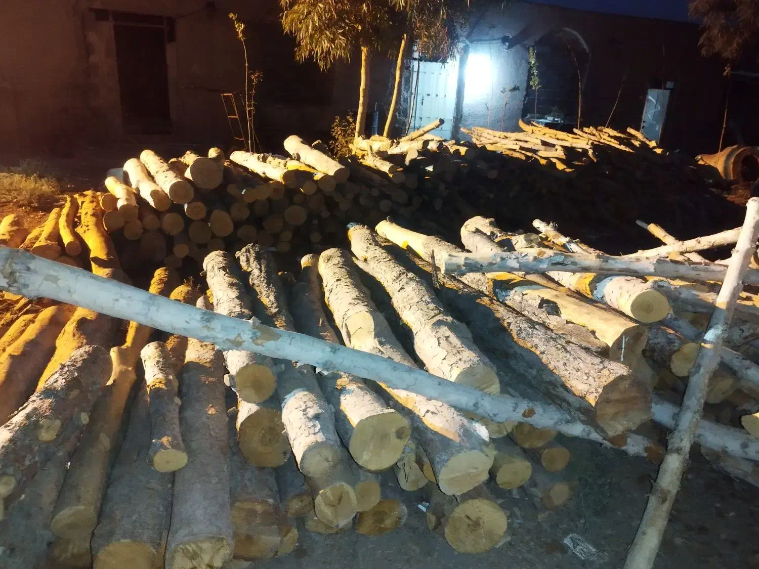 خرید چوب|خدمات باغبانی و درختکاری|ورامین, ورامین|دیوار