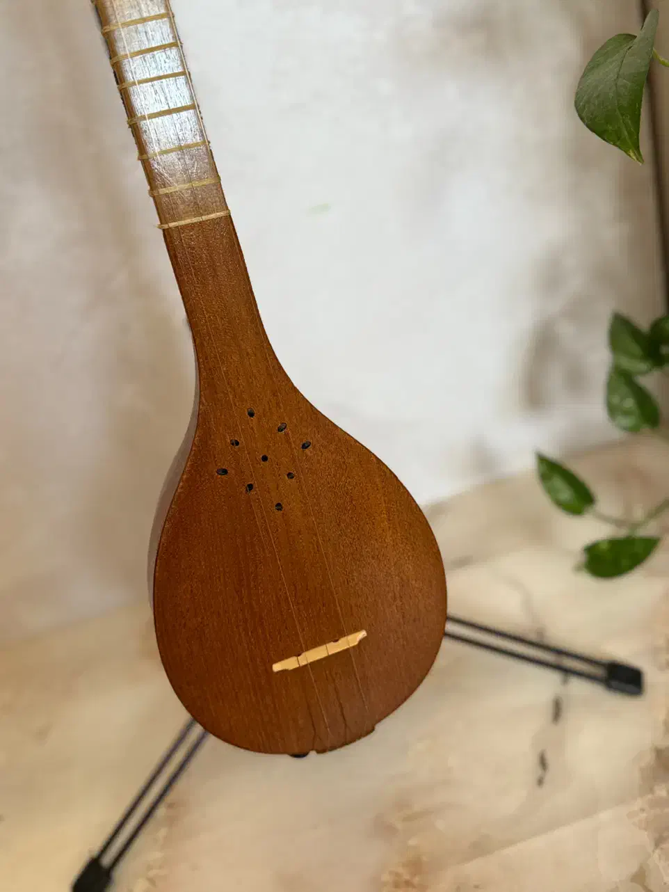 سه تار مهر هاتف به همراه کاور|سازهای سنتی|مشهد, شهید فرامرز عباسی|دیوار