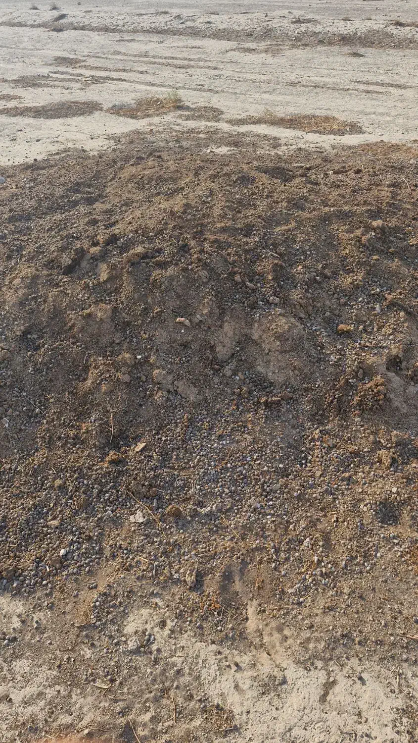 کود حیوانی بز|لوازم جانبی حیوانات|خورموج, |دیوار