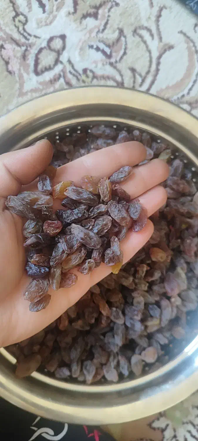 کشکمش سایه خشک اعلا|خوردنی و آشامیدنی|قزوین, |دیوار