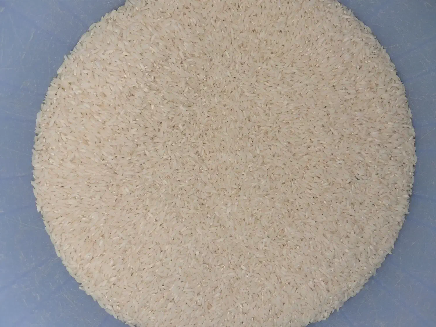 برنج علی‌کاظمی|خوردنی و آشامیدنی|سیلاخور, |دیوار