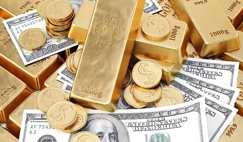 هدیه + واریز آنی به حساب شما|کارت هدیه و تخفیف|شیراز, آبیاری|دیوار