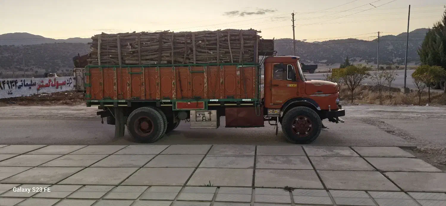 خرید درخت گردو چوب|خدمات باغبانی و درختکاری|یاسوج, |دیوار