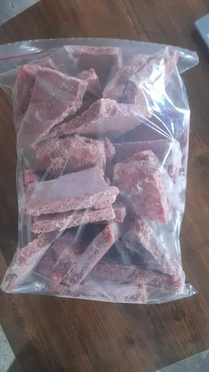 غذای گربه و سگ|لوازم جانبی حیوانات|بیرجند, |دیوار