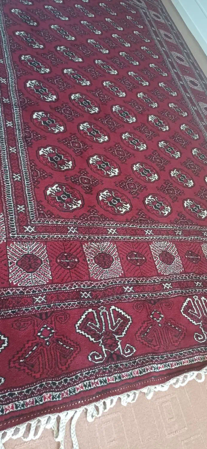 فرش ترکمنی ده متری|فرش|گرگان, |دیوار
