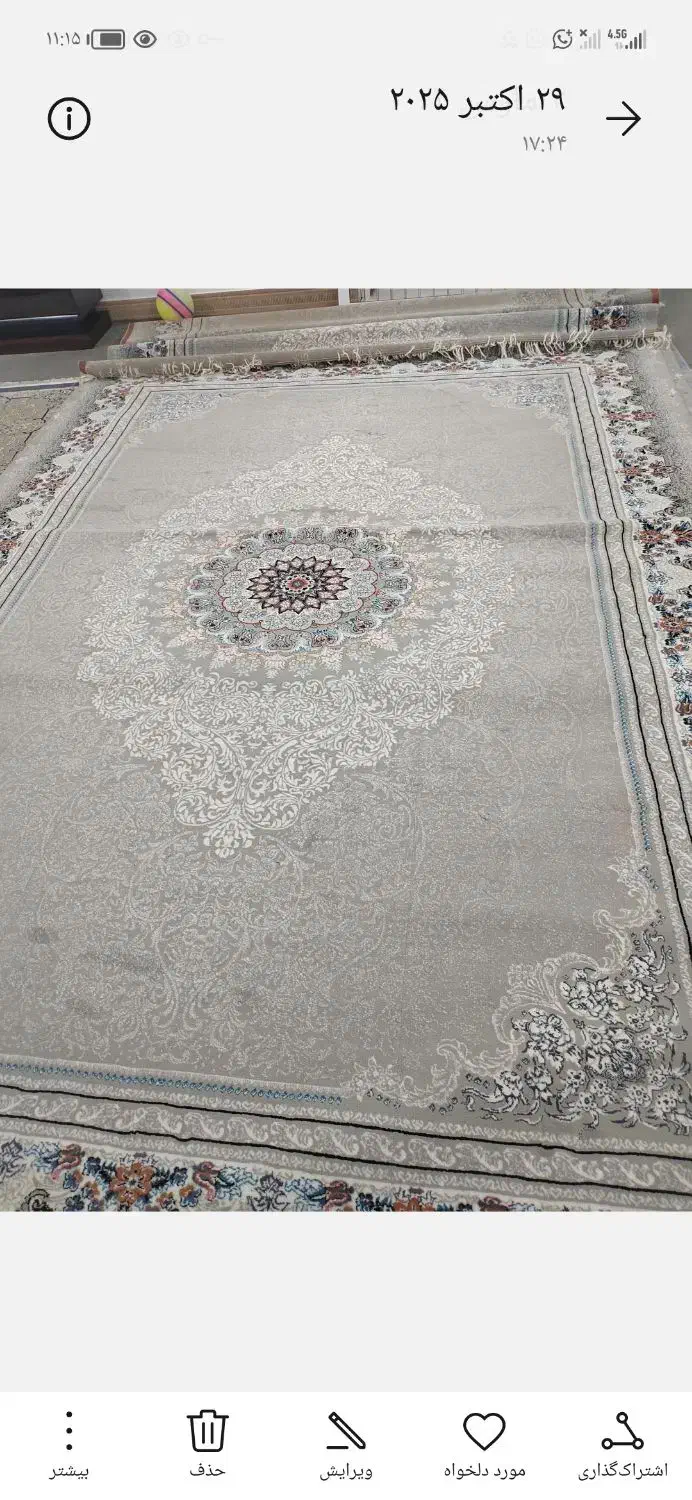 قالی در حد نو|فرش|رامشیر, |دیوار