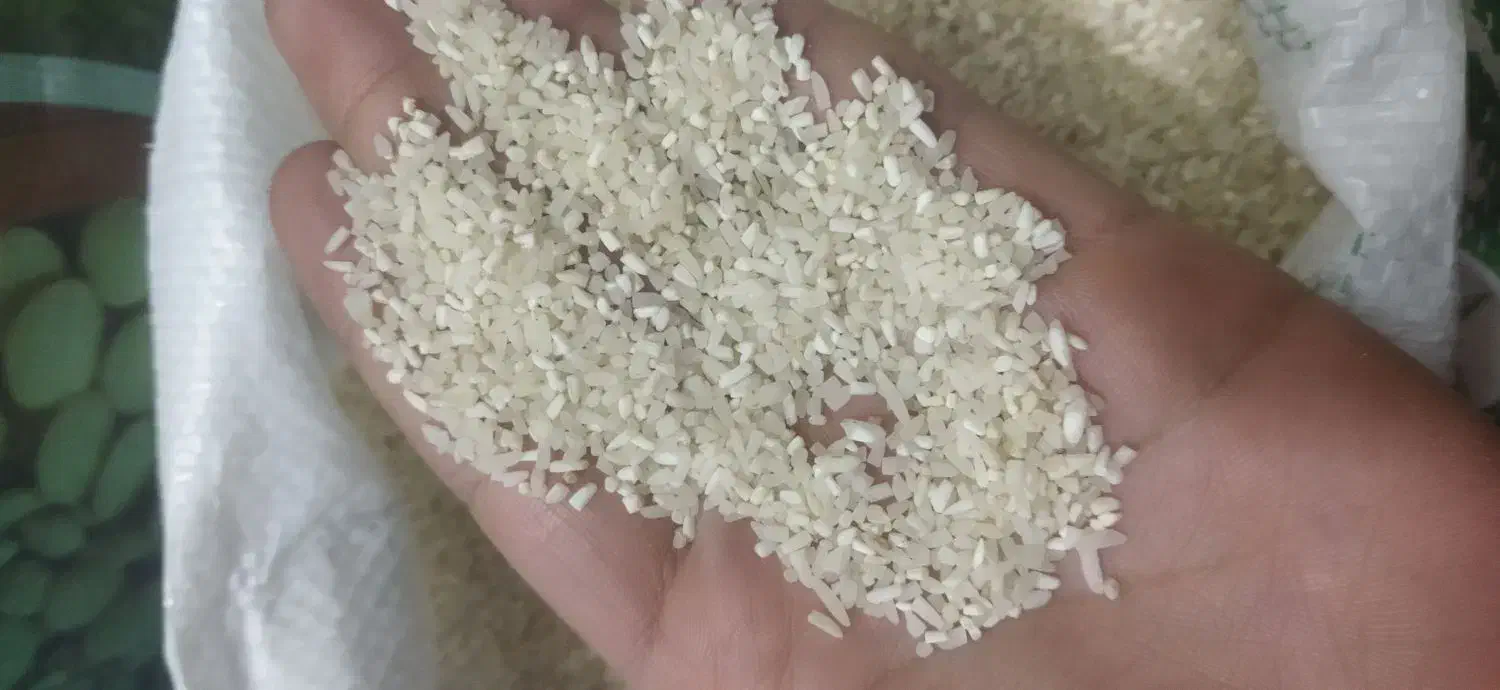 برنج ایرانی لاشه ( نیم دانه ) طارم خوش عطر و طعم|خوردنی و آشامیدنی|مشهد, شهید آوینی|دیوار