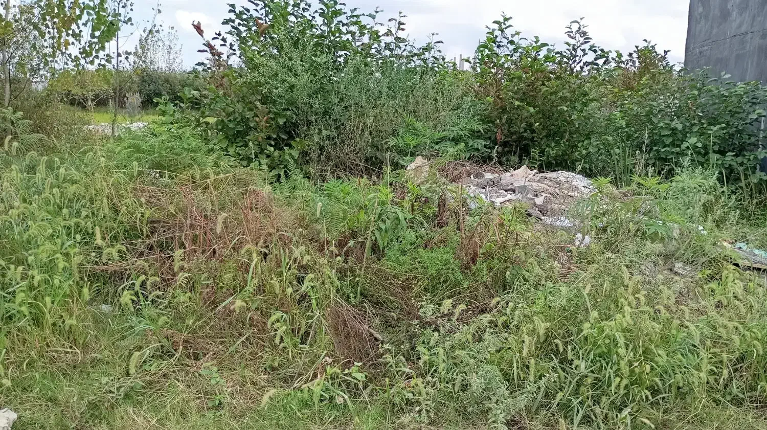 زمین فروشی مسکونی|فروش زمین و ملک کلنگی|رشت, احمد گوراب|دیوار