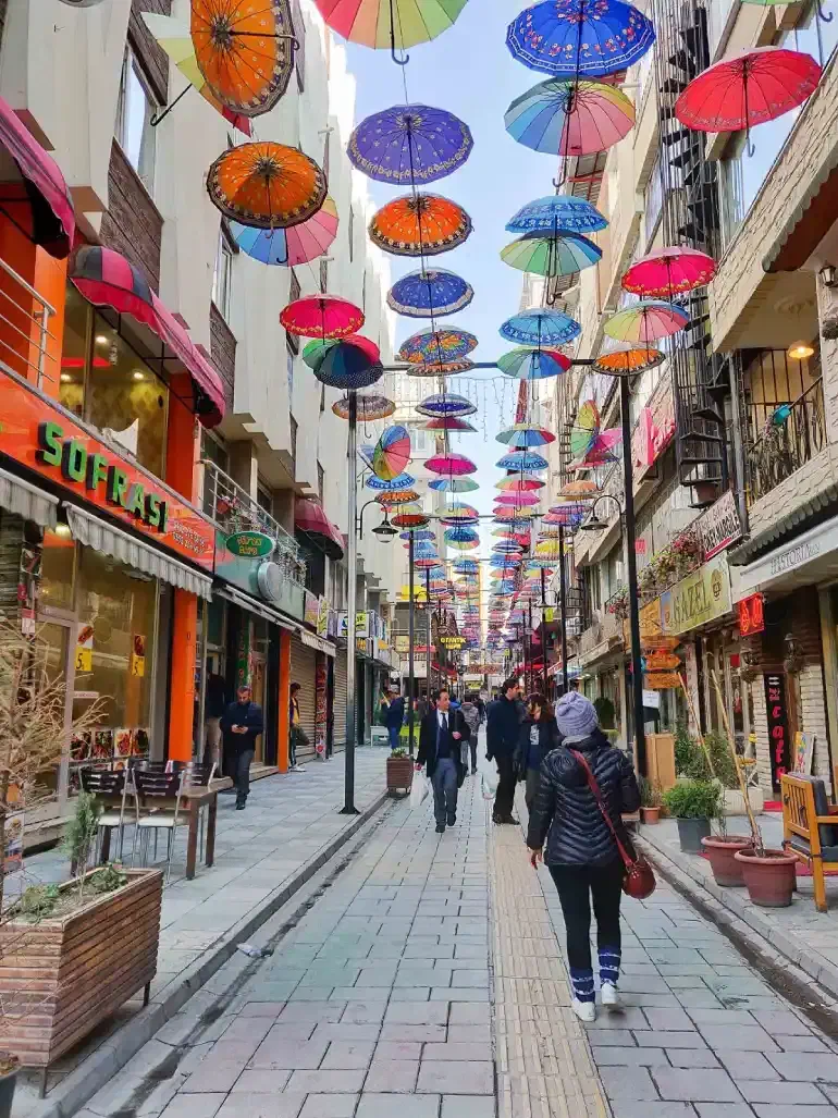 تور لحظه آخری وان با قیمت استثنایی|تور و چارتر|مرند, |دیوار