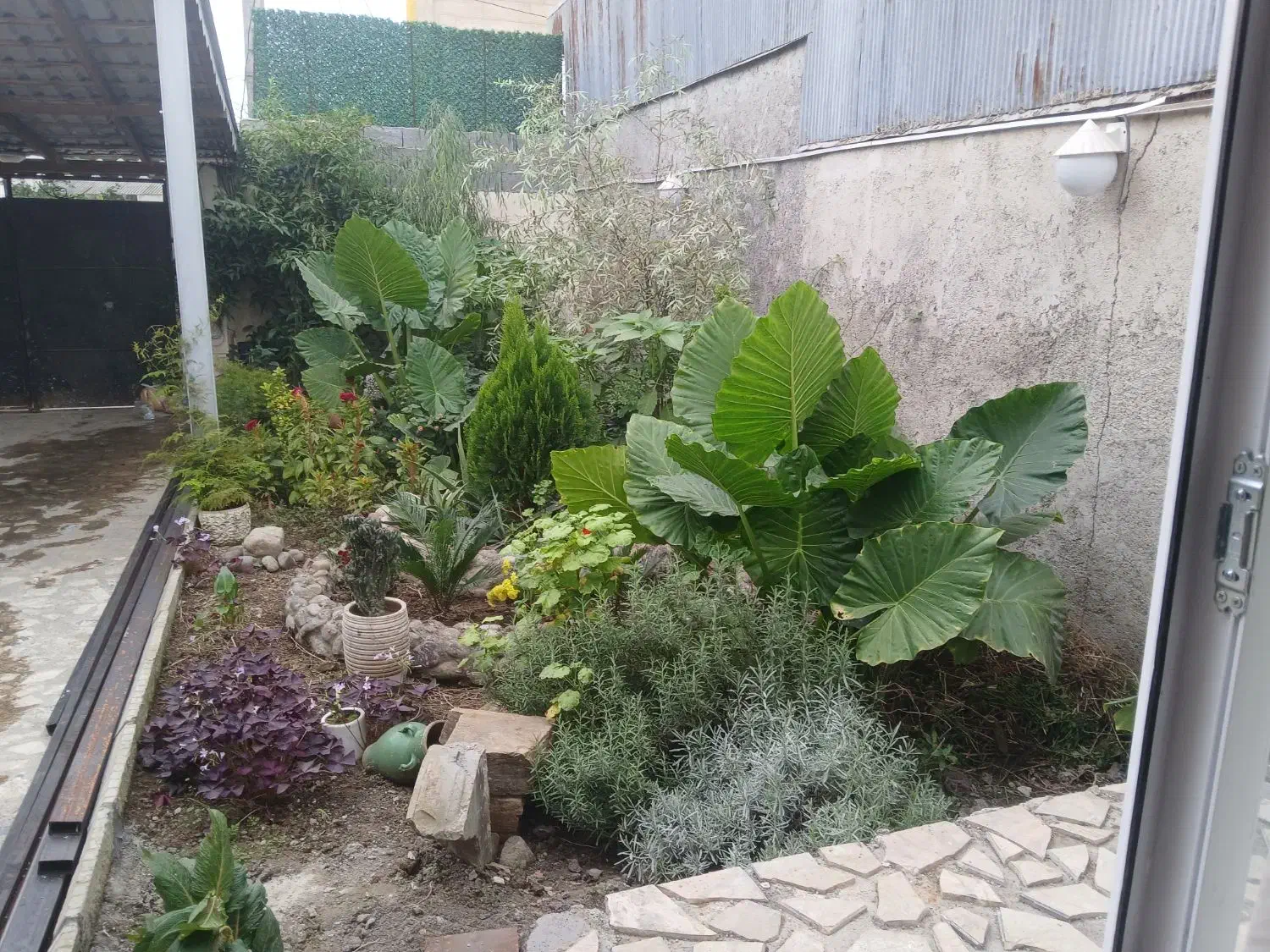 اجاره روزانه در رشت|اجارهٔ کوتاه‌مدت آپارتمان و سوئیت|رشت, لاکان شهر|دیوار