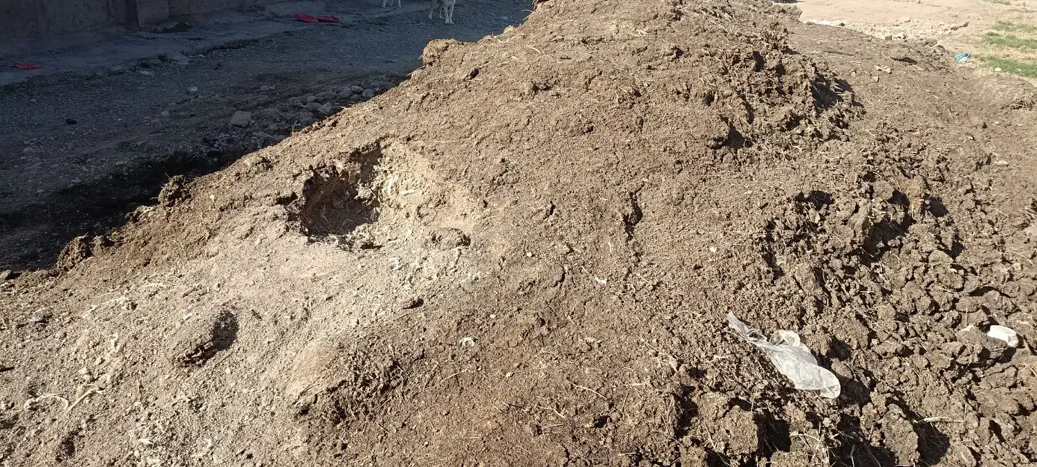 کود مرغ گوشتی تنی 5میلیون|خدمات باغبانی و درختکاری|فیروزه, |دیوار