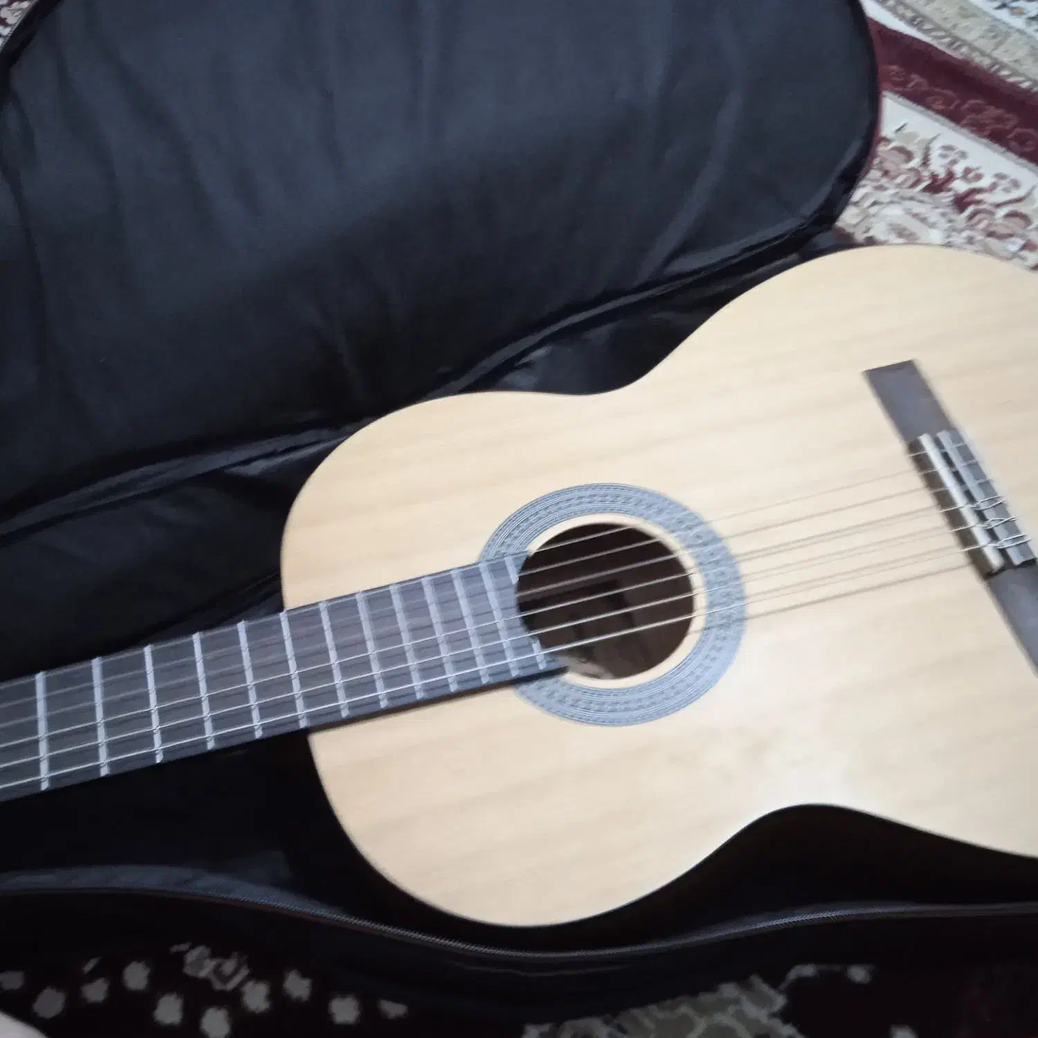 گیتار|گیتار، بیس، امپلیفایر|اردبیل, |دیوار