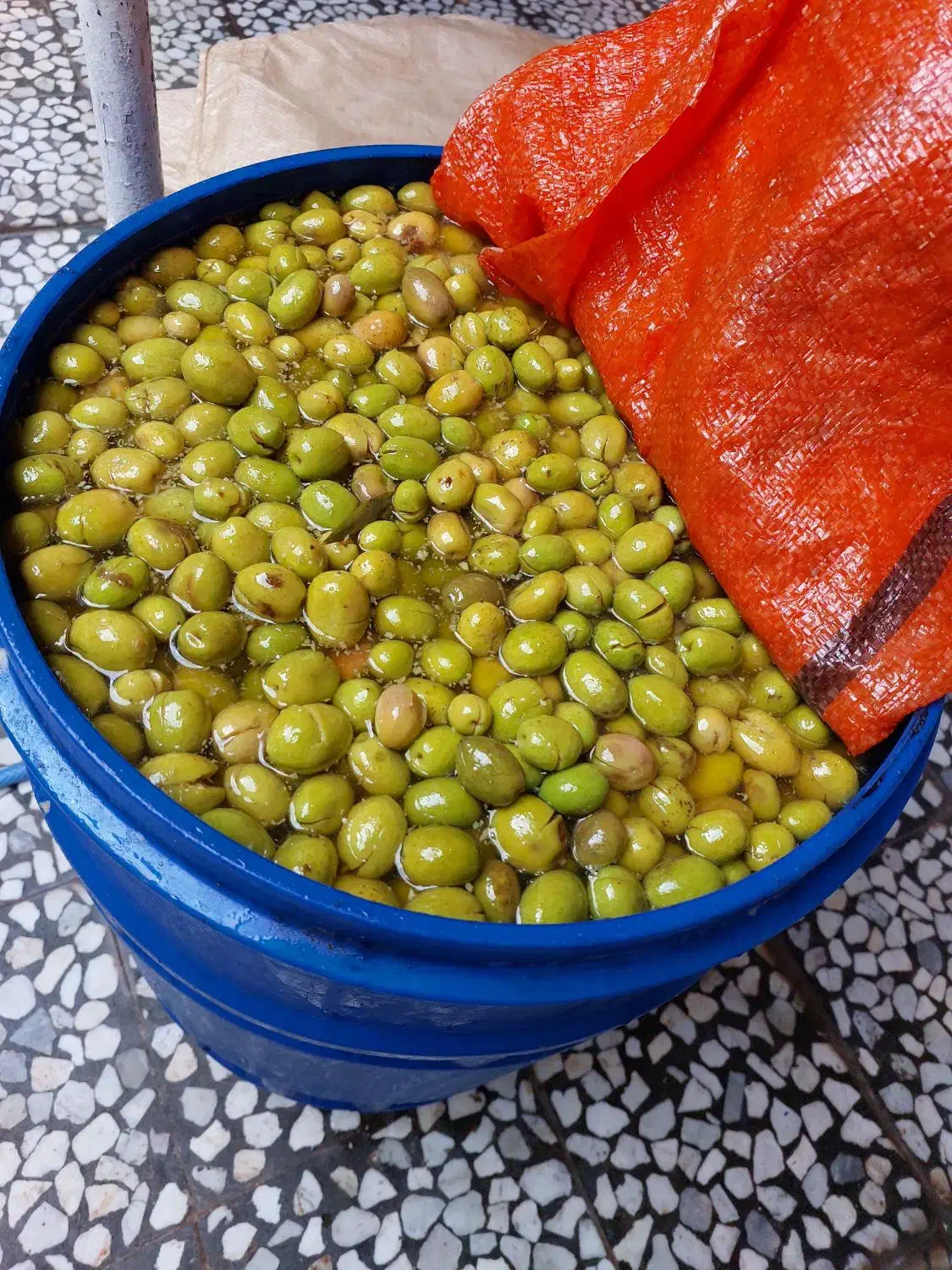زیتون سنتی امسال درشت|خوردنی و آشامیدنی|رشت, سلیمانداراب|دیوار