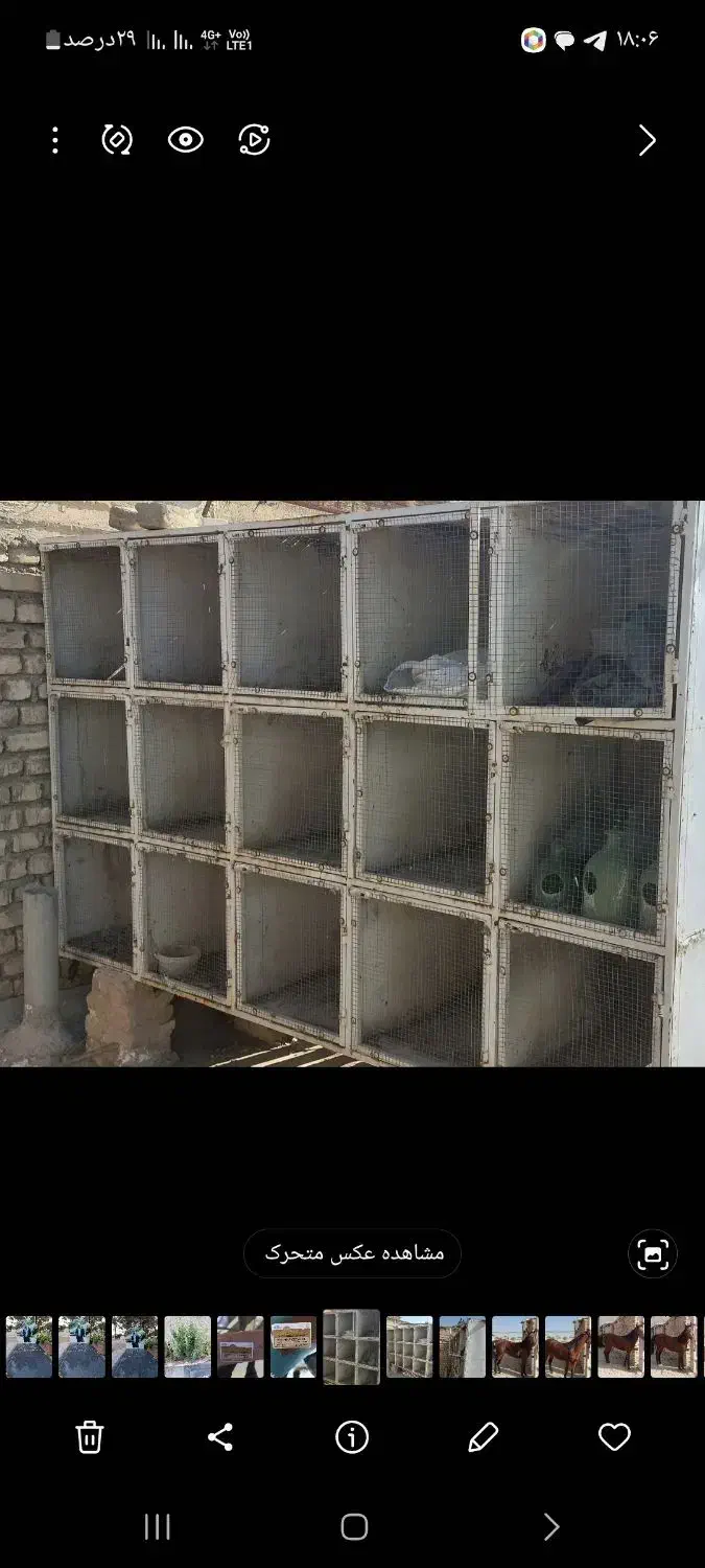قفس کبوتر|لوازم جانبی حیوانات|اصفهان, گورتان|دیوار