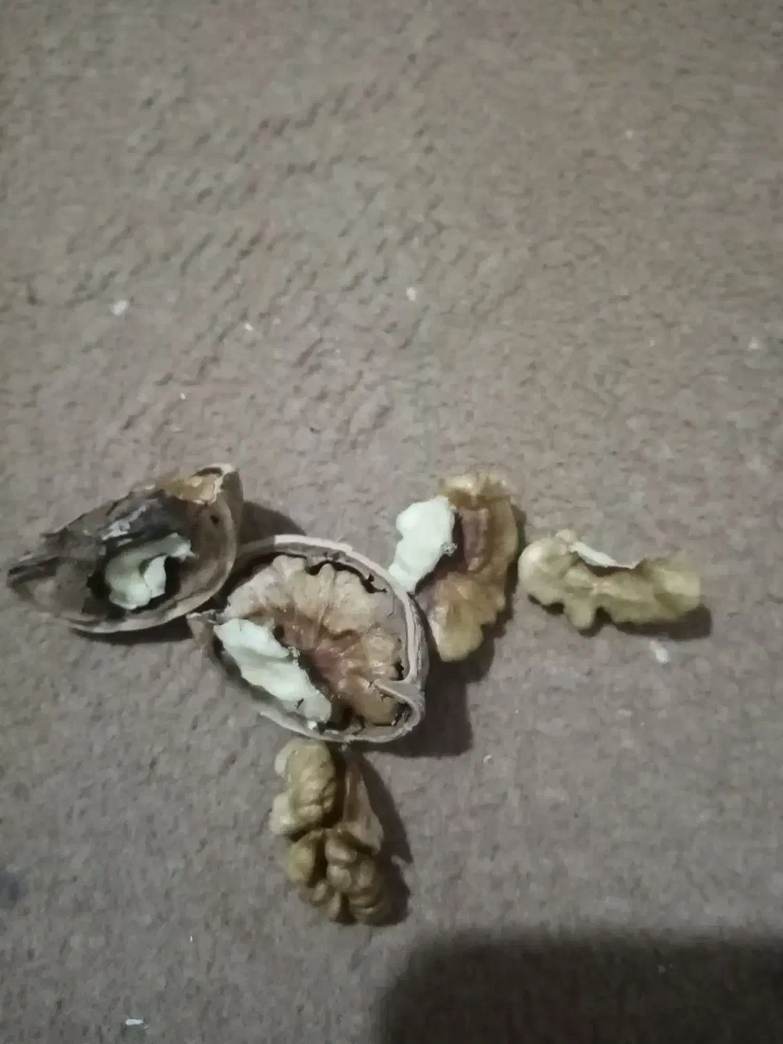 گردوامسال|خوردنی و آشامیدنی|نهاوند, |دیوار