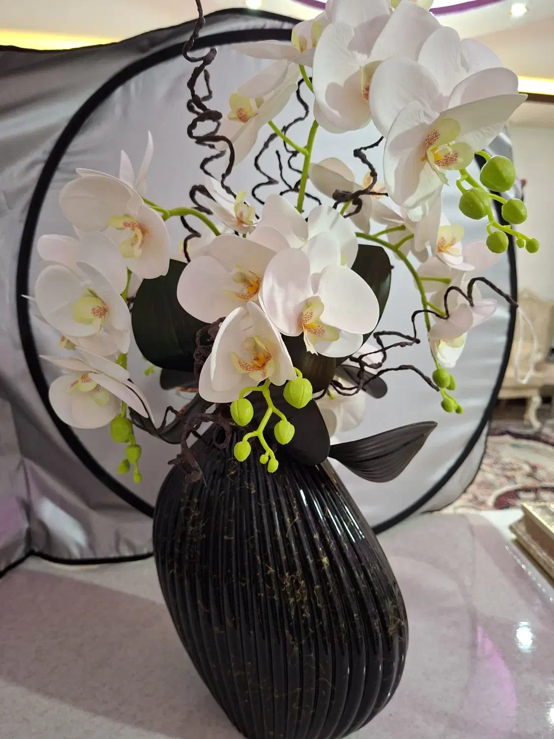 گل ارکیده ناب ناب|گل و گیاه طبیعی|شاهین‌شهر, فردوسی|دیوار