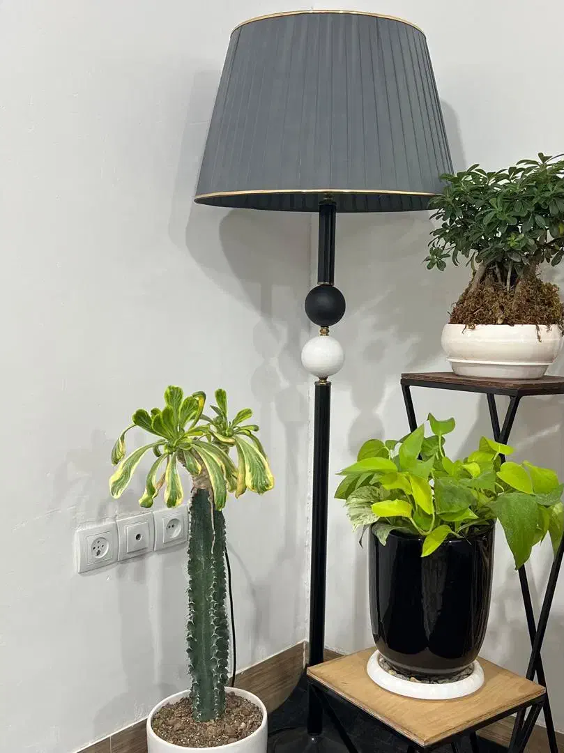 اباژو ایستاده نو|چراغ خواب و آباژور|کازرون, |دیوار