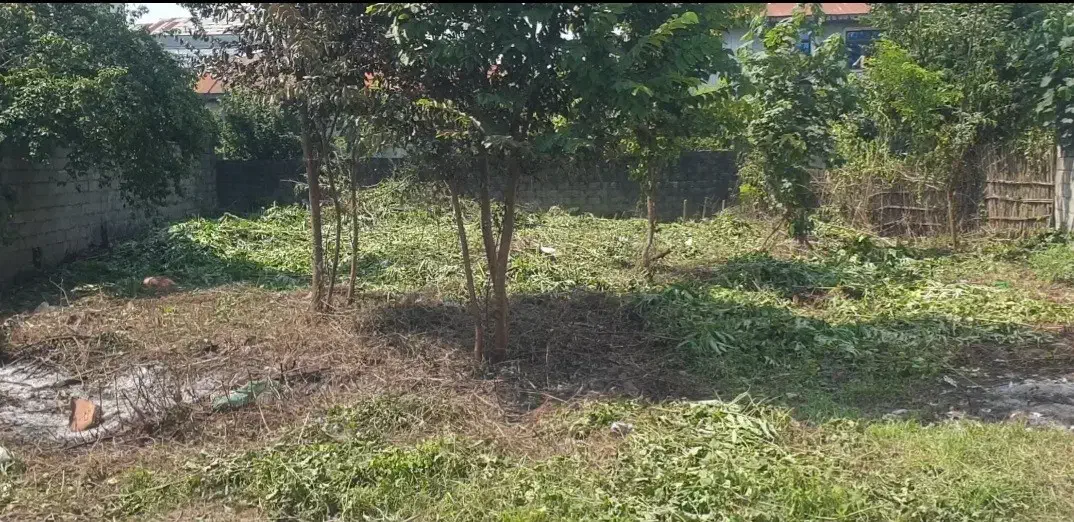 فروش استثنایی زمین 350 متری مسکونی سنددار در ضیابر|فروش زمین و ملک کلنگی|ضیابر, |دیوار