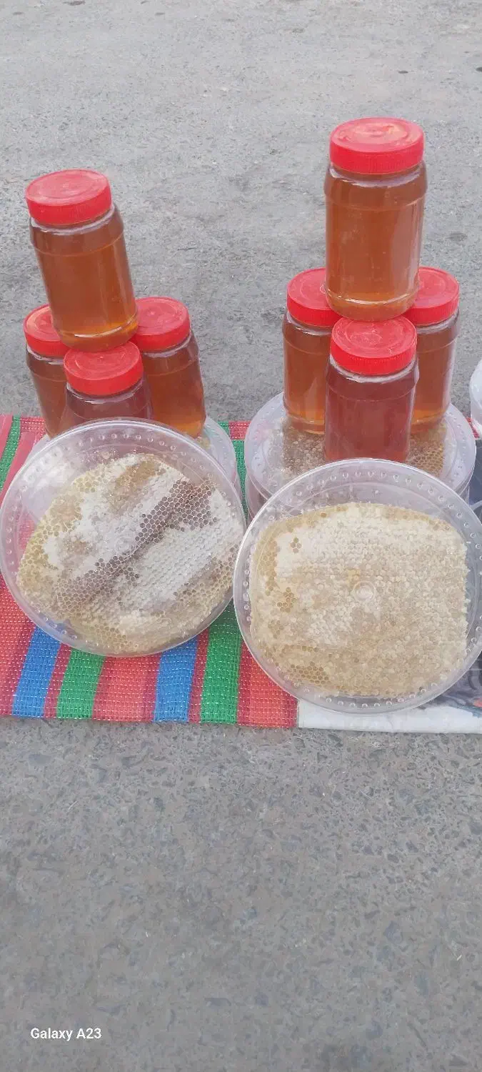 عسل آذربایجان|خوردنی و آشامیدنی|قم, سید معصوم|دیوار