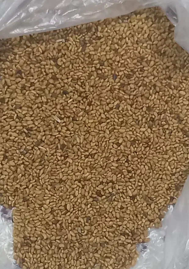 فروش بذریونجه اصل همدان|عمدهفروشی|قشلاق دشت, |دیوار