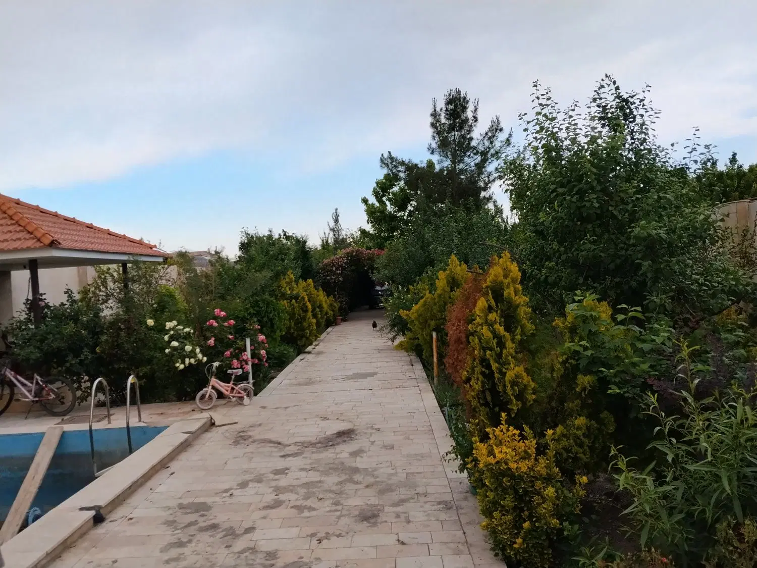 تصویر 6