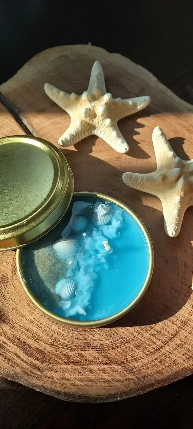 شمع قوطی دریایی|صنایع دستی و سایر لوازم تزئینی|تهران, مشیریه|دیوار