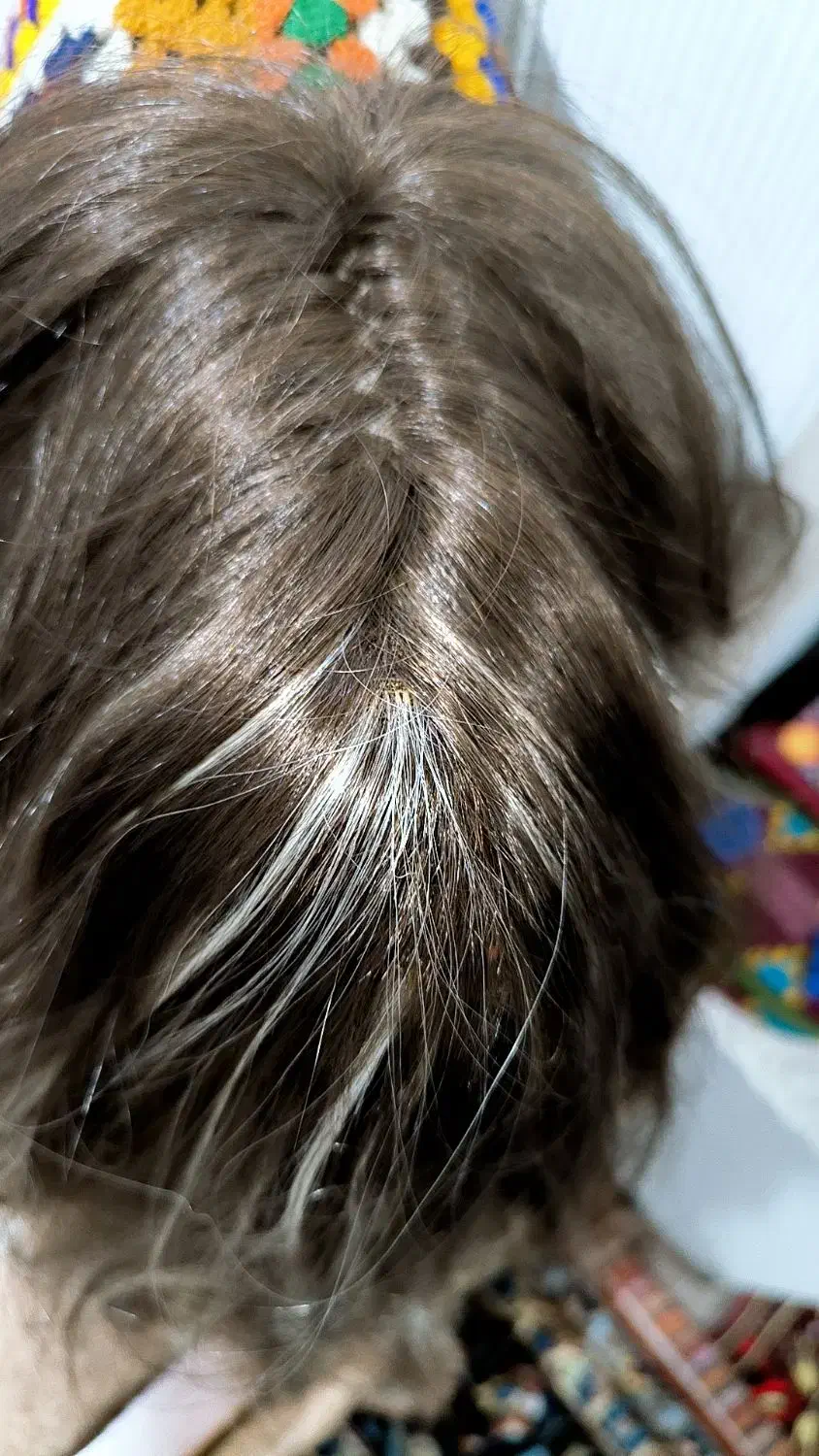 کلاه گیس طبیعی بلند|آرایشی، بهداشتی، درمانی|بروجن, |دیوار