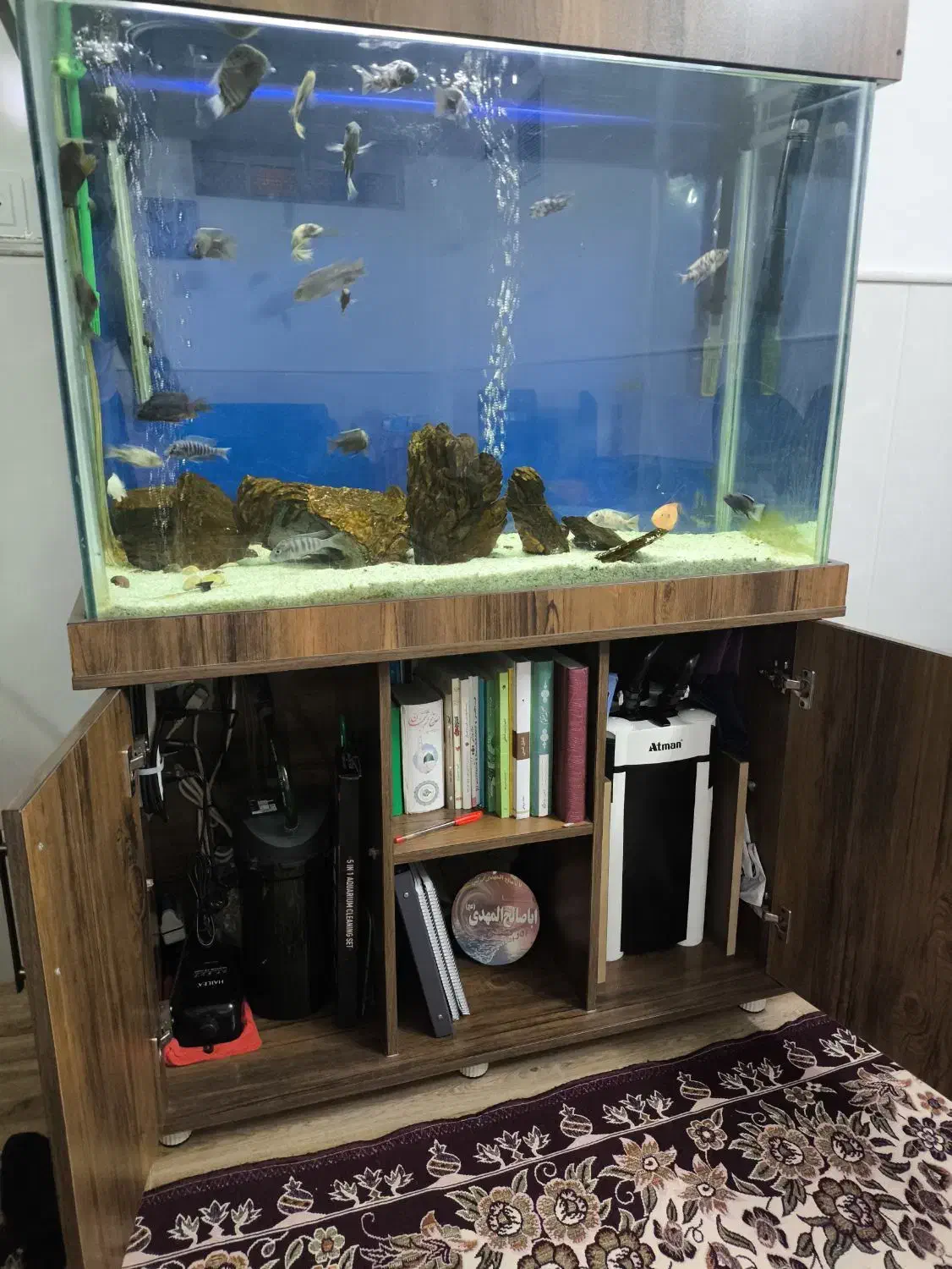 فروش آکواریوم با تمام وسایل|ماهی|قم, شهرک امام حسین|دیوار