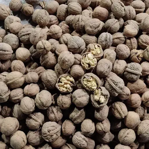 گردو کردستان|خوردنی و آشامیدنی|تهران, اختیاریه|دیوار