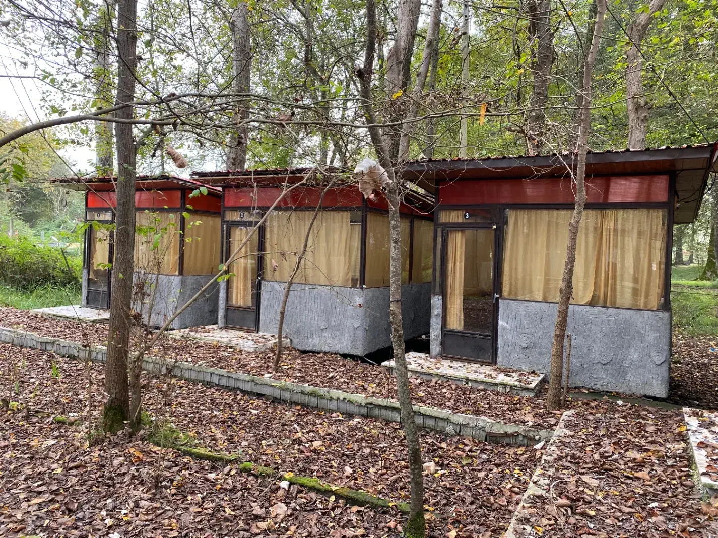 کلبه جنگلی اقامتی|اجارهٔ کوتاهمدت آپارتمان و سوئیت|ایزدشهر, |دیوار