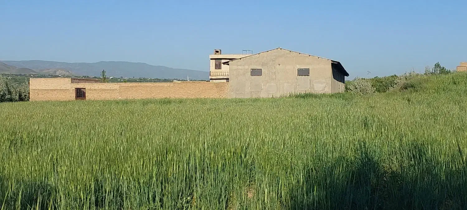 اجاره گاوداری|اجارهٔ دفتر صنعتی، کشاورزی، تجاری|اهر, |دیوار