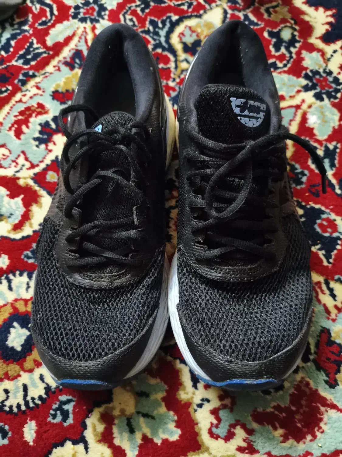 کتانی اورجینال|کیف، کفش، کمربند|اردبیل, |دیوار