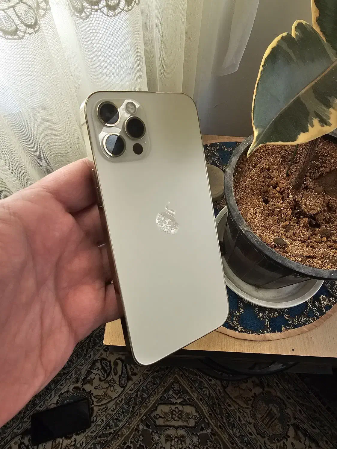 iphone 12 pro 256|موبایل|تهران, نارمک|دیوار