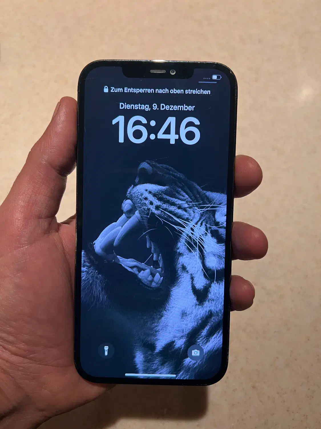 ایفون ۱۲ پرو مکس سفارش اروپا ۱۲۸ گیگ|موبایل|تهران, کاشانک|دیوار