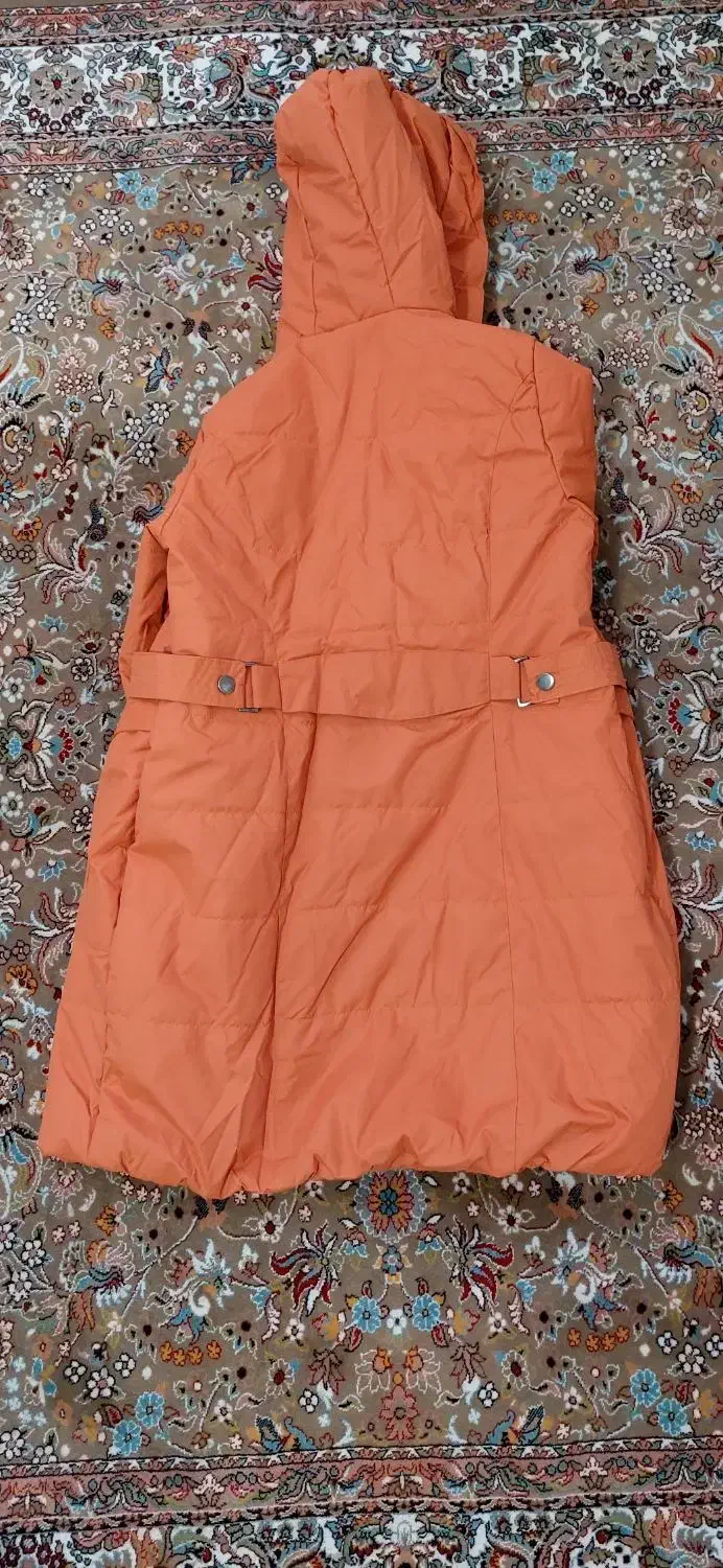 کاپشن|لباس|ماهدشت, |دیوار