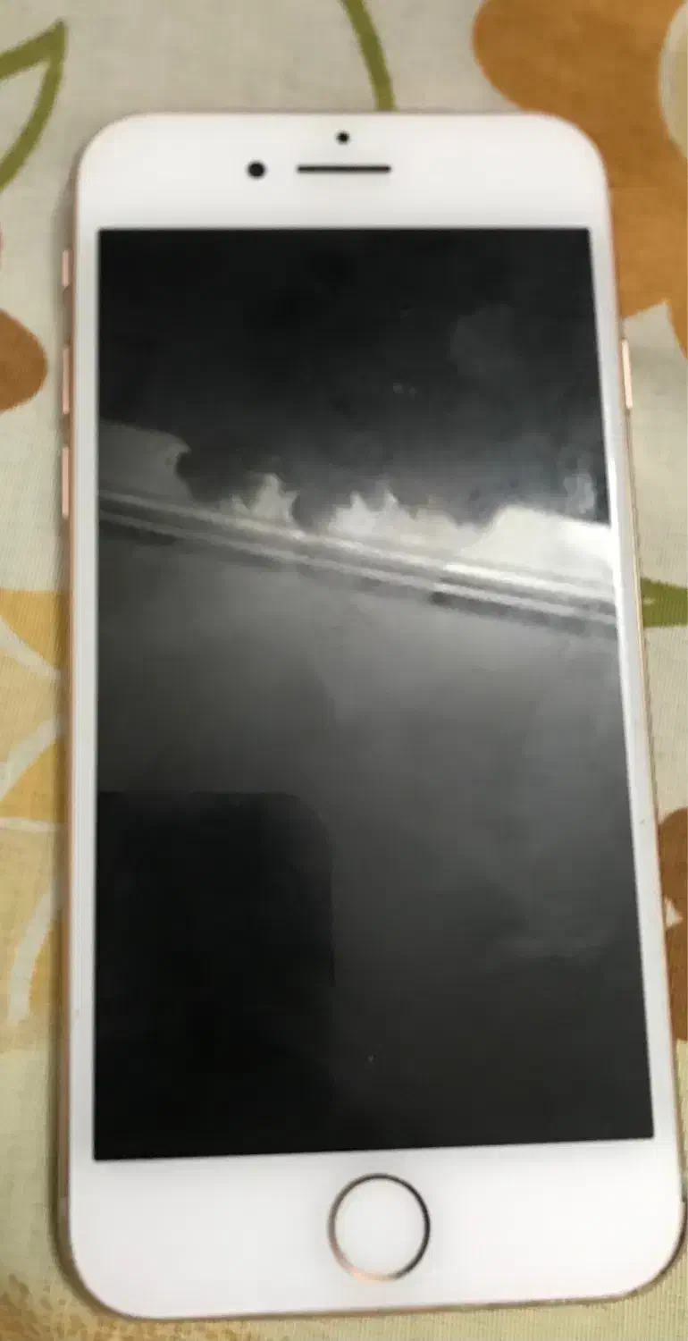 ایفون ۸ رنگ گلد سالم تمیز پلمپ|موبایل|تربت جام, شهید غلام زاده|دیوار