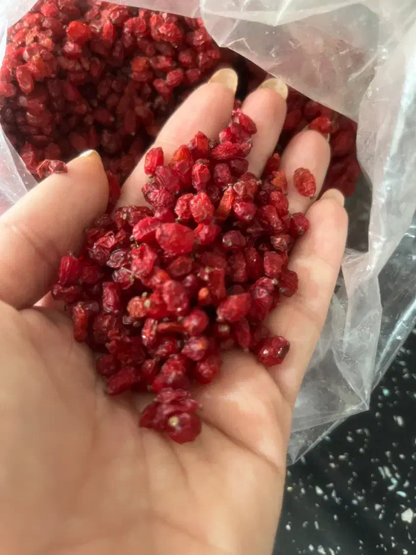 رب گوجه کیلویی|خوردنی و آشامیدنی|پاکدشت, پاکدشت (مامازند)|دیوار