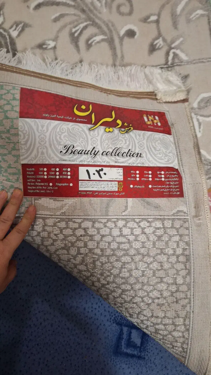 ۱جفت فرش فانتزی ۶متری خوش رنگ روشن|فرش|مشهد, رسالت|دیوار