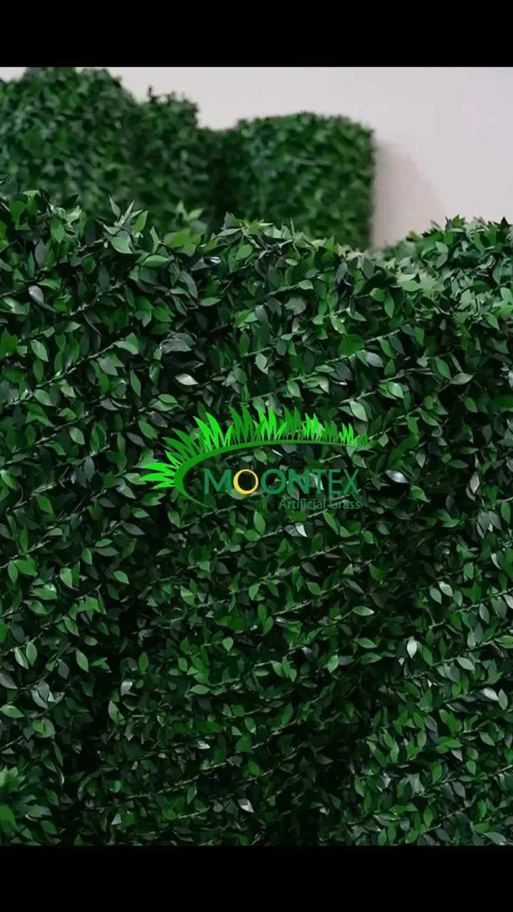 فنس برگی فنس چمنی|مصالح و تجهیزات ساختمان|هشتگرد, هشتگرد قدیم|دیوار