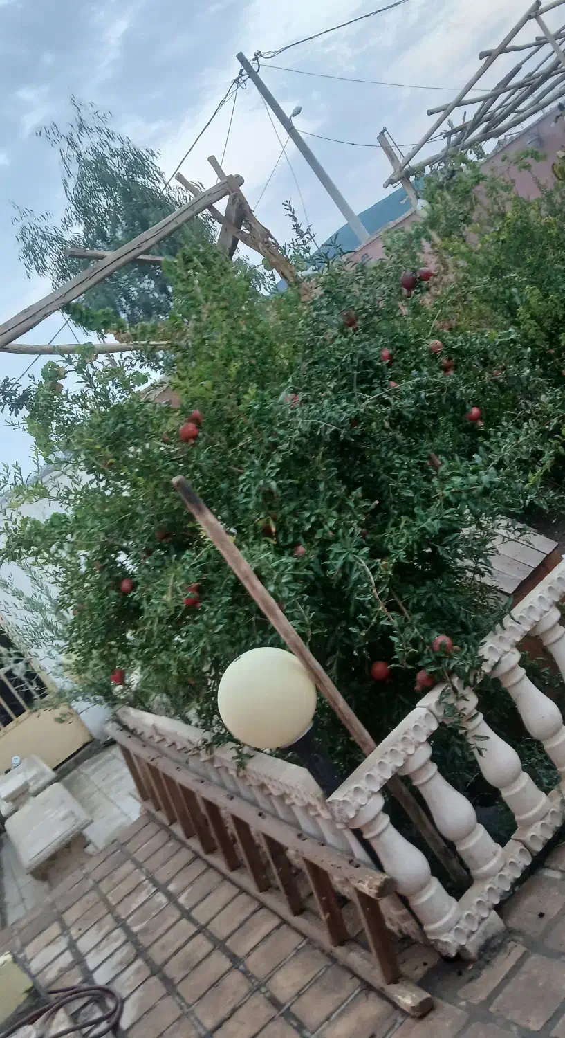 خونه باغ دشت حامد آباد|فروش خانه و ویلا|آران و بیدگل, |دیوار