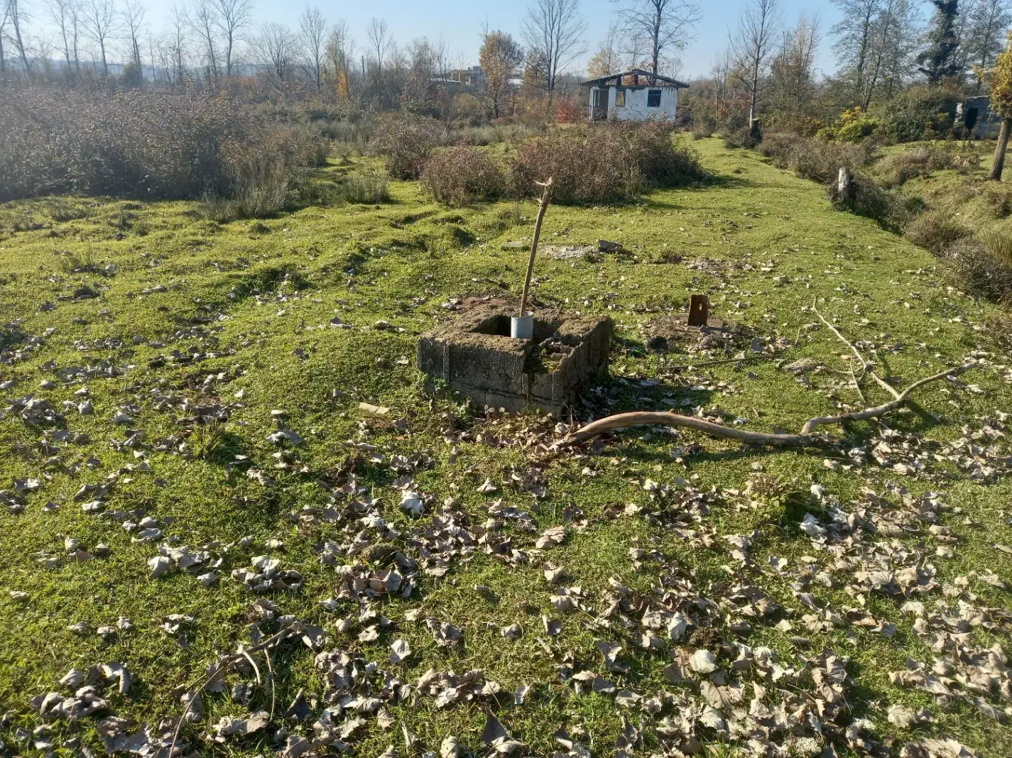 زمین مرغداری|فروش زمین و ملک کلنگی|سیاهکل, |دیوار